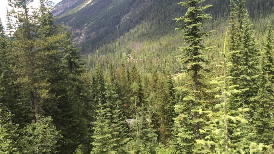 Yoho National Park